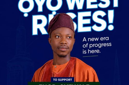 Oyewale Campaign post